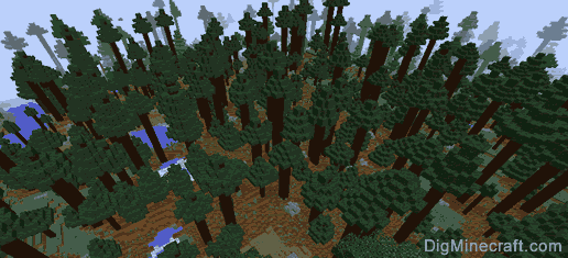 巨型针叶林生物群落
