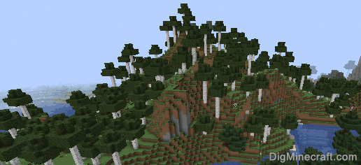 old growth birch forest biome
