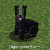 兔子2型