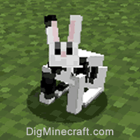 兔子3型