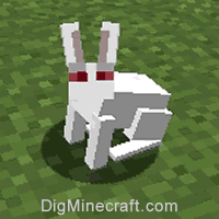 兔子99型